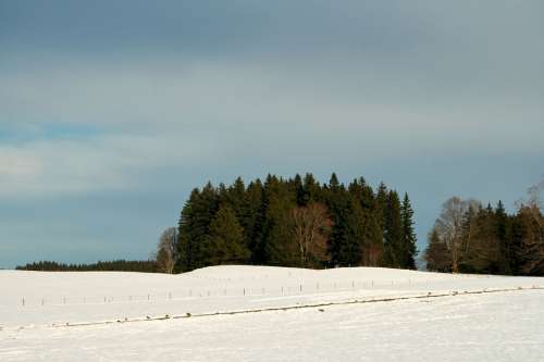 Germany Bavaria Nature Winter Snow Field Forest