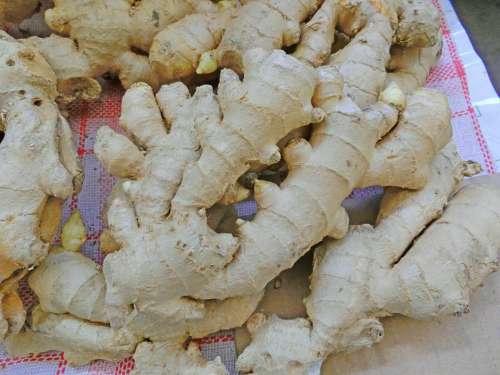 Ginger Healthy Root Spice Aroma Tuber Sharp