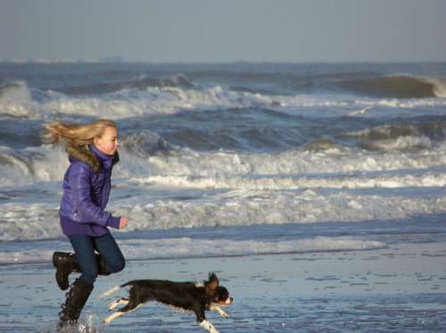 Girl Dog Sea Beach Zandvoort Race Play