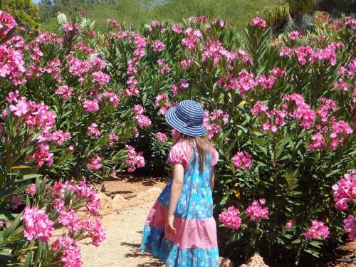 Girl Garden Child Run Oleander Mediterranean