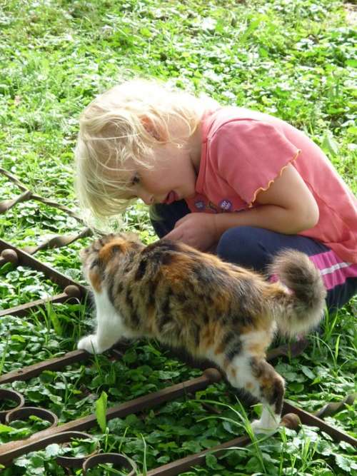 Girl Cat Pet Country Life Stroke Fur Joy Happy
