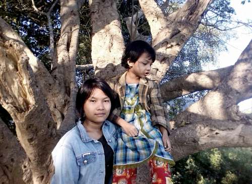 Girls Tree Climbing Outdoors Asian Chinese