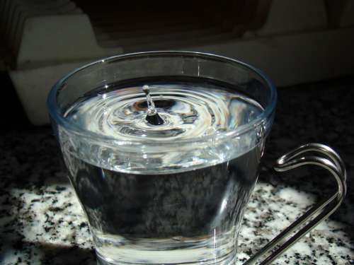 Glass Water Cup