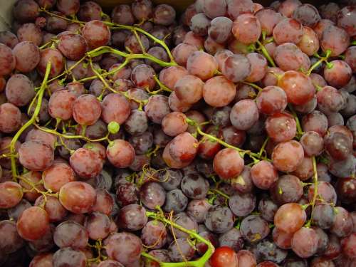 Globe Red Fruit Grapes Fruits Plants Flora