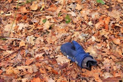Glove Leaves Missing Crime