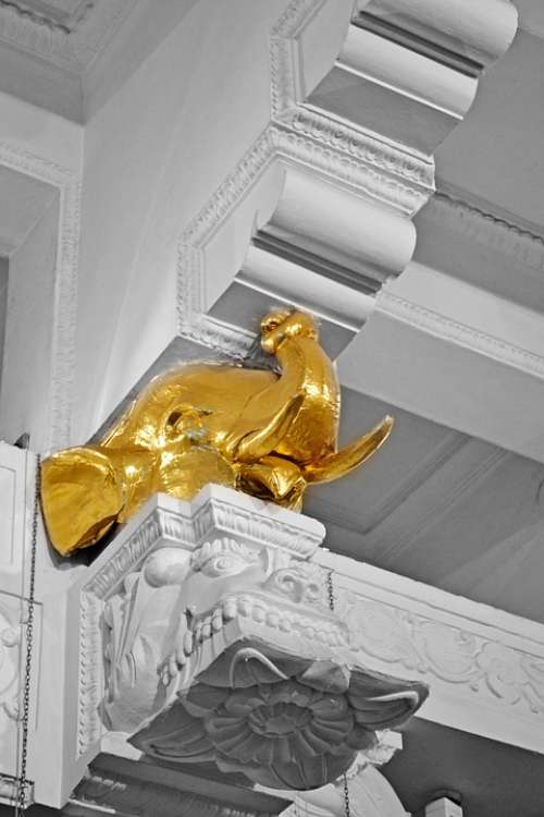 Golden Elephant Gold Plated Statue Statue Sculpture