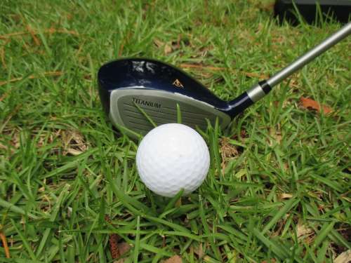 Golf Club Golf Club Grass Ball Golfing Equipment