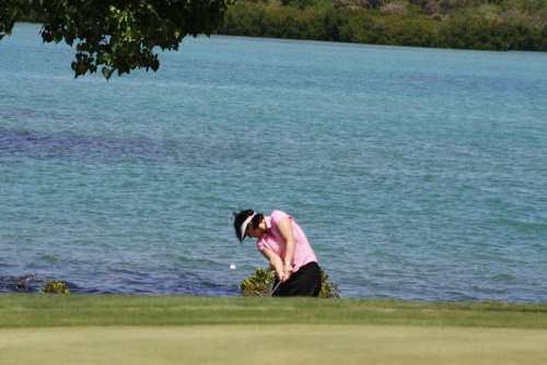 Golf Woman Golfer Golf Ball Golf Course Fairway