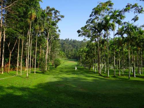 Golf Course Golf Sport Lawn Ammathi Karnataka