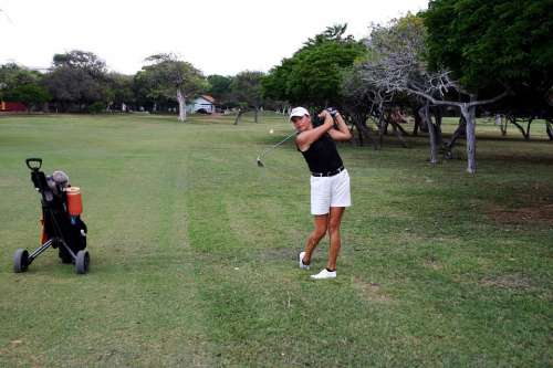 Golf Player Golf Golfing Sport Recreation Grass
