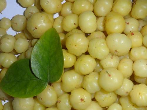 Goose Berries Berries Amla Indian Gooseberry Sour