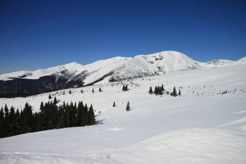 Gorj Mountains Parang Ranca Romania Snow White