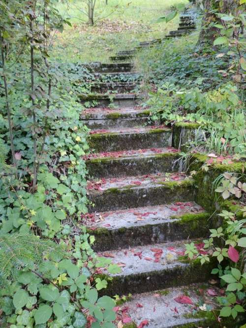 Gradually Stairs Stone Garden Plant Leaves Autumn
