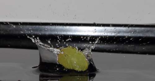 Grape Water Drip Fruit Fresh
