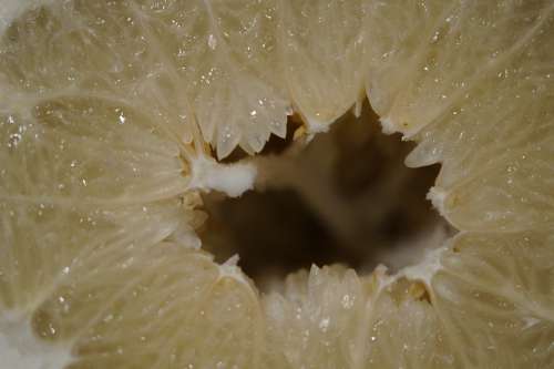 Grapefruit Inner Cave Cavity Hole Fruit Citrus