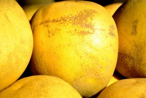 Grapefruit Fruit Yellow Food Healthy Tropical