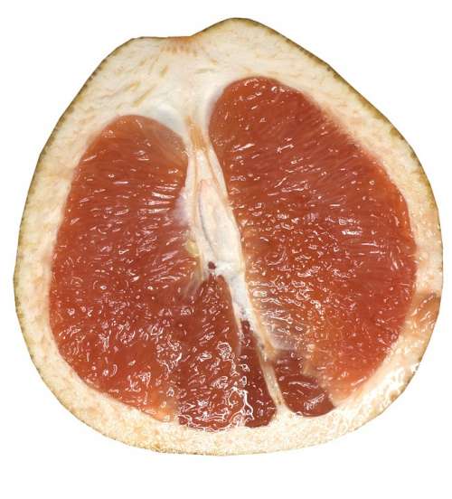 Grapefruit Fruit Red Food Juicy Diet Healthy