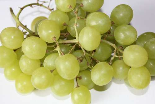 Grapes Fruit Green
