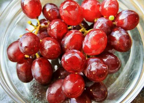 Grapes Red Wet Bunch Fruit Appetizing