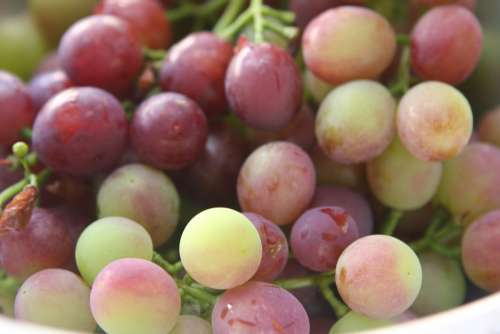 Grapes Fruit Fruit Bowl