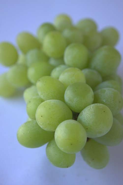 Grapes Green Food Healthy Fresh Fruit Harvest