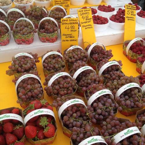 Grapes Fruit Market