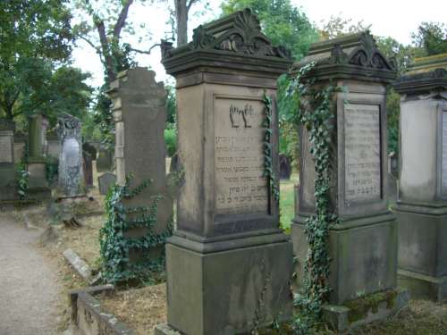 Grave Stones Jewish Cemetery Worms