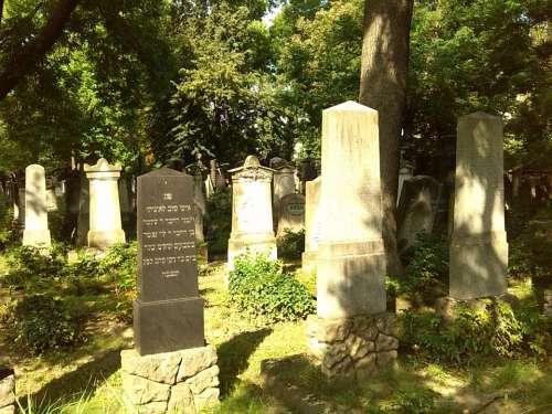 Graves Grave Stones Magdeburg Cemetery