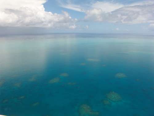 Great Barrier Reef Diving Coral Ocean Pacific