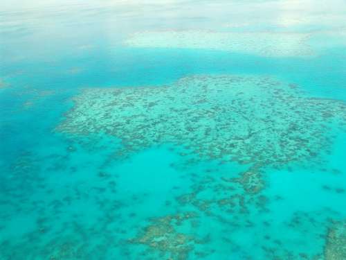 Great Barrier Reef Diving Coral Ocean Pacific