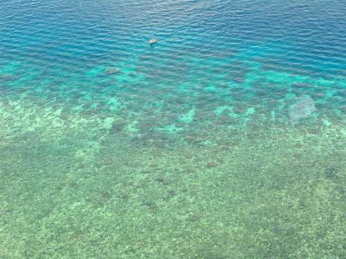 Great Barrier Reef Diving Coral Ocean Pacific