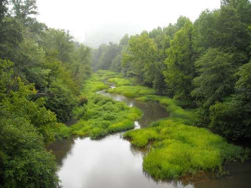 Green Stream Water Creek Woods Scenery Flowing