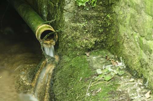 Green Water Pipe Moss Wet Environment