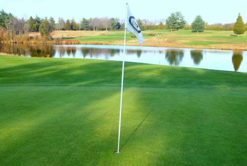 Green Putt Putting Surface Golf Course