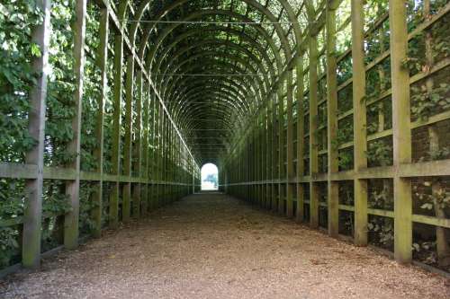 Green Tunnel Tunnel Garden Tunnel