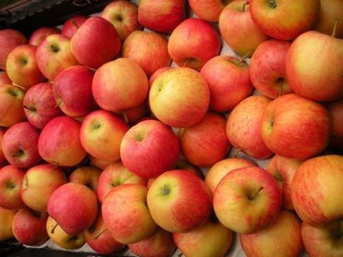 Greengrocer Fruit Crate Apples Fresh Red Yellow