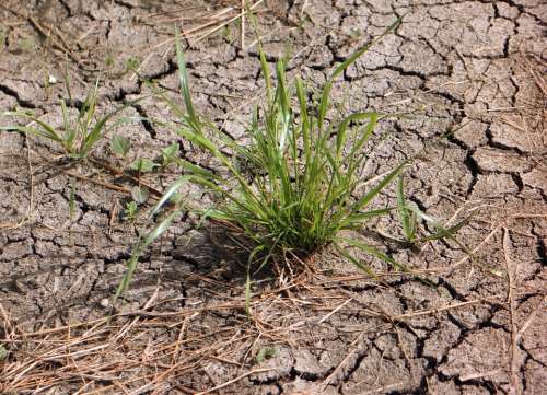Ground Earth Drought Dehydrated Cracks Cracked