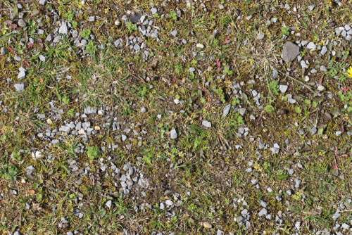 Ground Stones Grass Pebble Steinchen Earth Green