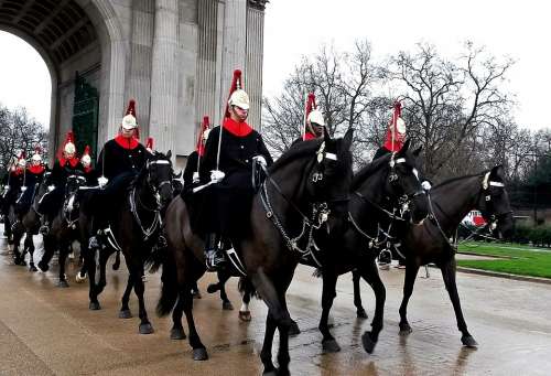 Guard Horses Military In Formation Uniform