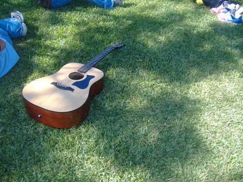 Guitar Grass Green Nature Outdoors Backyard