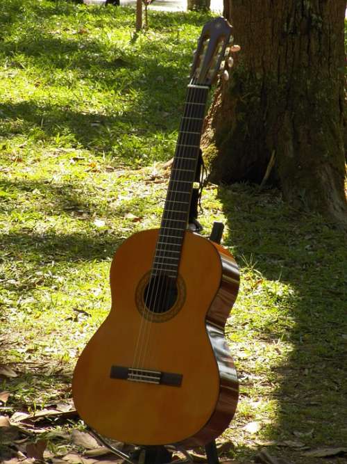 Guitar Music Musical Instruments