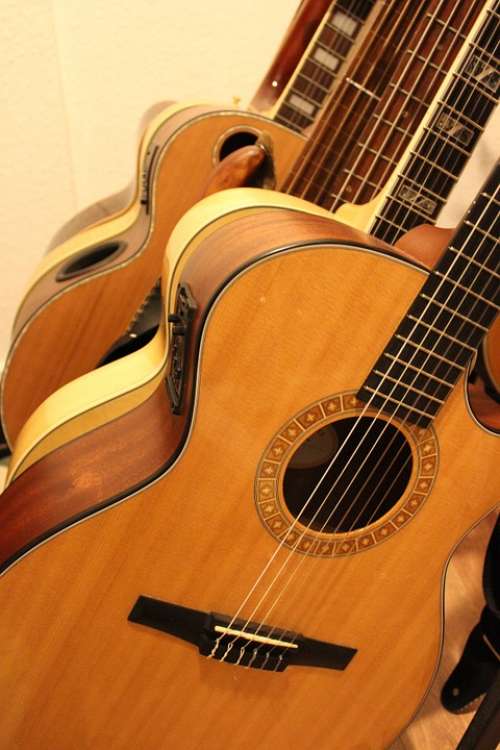 Guitars Guitar Collection Instrument Acoustic