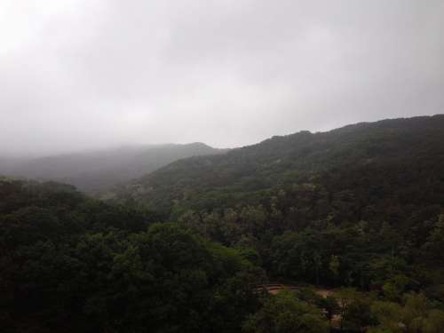 Gwanaksan Mountain Nature Fog Forest Spring Rain
