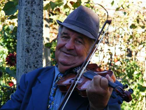 Gypsy Instruments Music Musicians Romania Sound