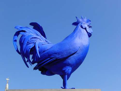 Hahn Blue Rooster British Figure Bird Art