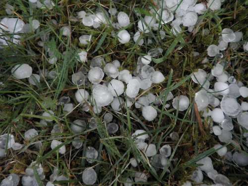 Hail Hailstones Weather Storm Precipitate Grass