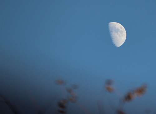 Half Moon Lunar Luna Orb Sky Evening