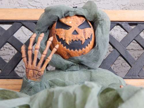 Halloween Skeleton Pumpkin Bony Fingers Scary