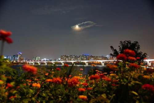 Han River Night View Autumn