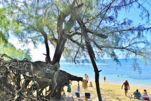 Hanalei Kauai Hawaii Beach Sand Vacation Holidays